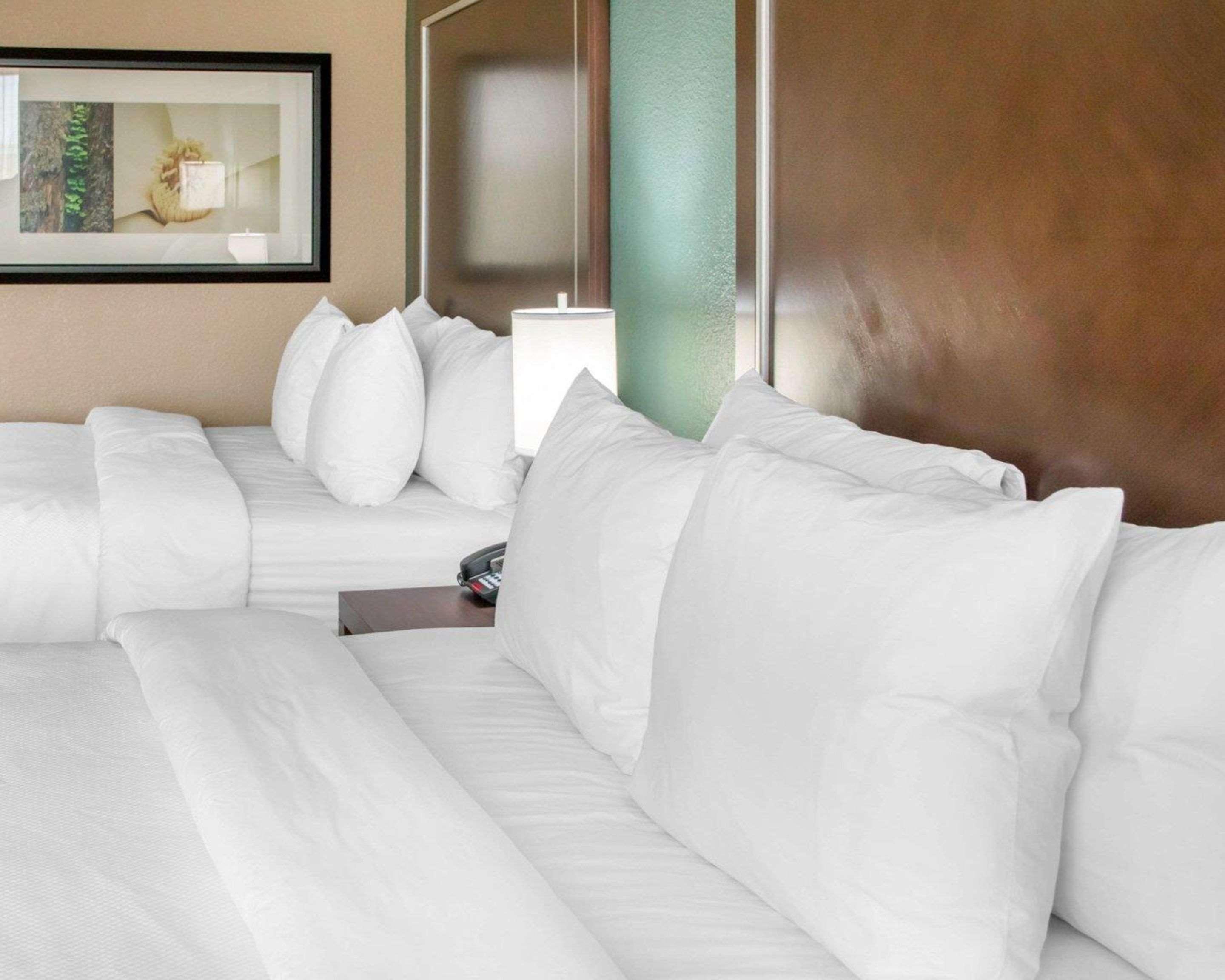 Comfort Inn & Suites San Marcos Luaran gambar