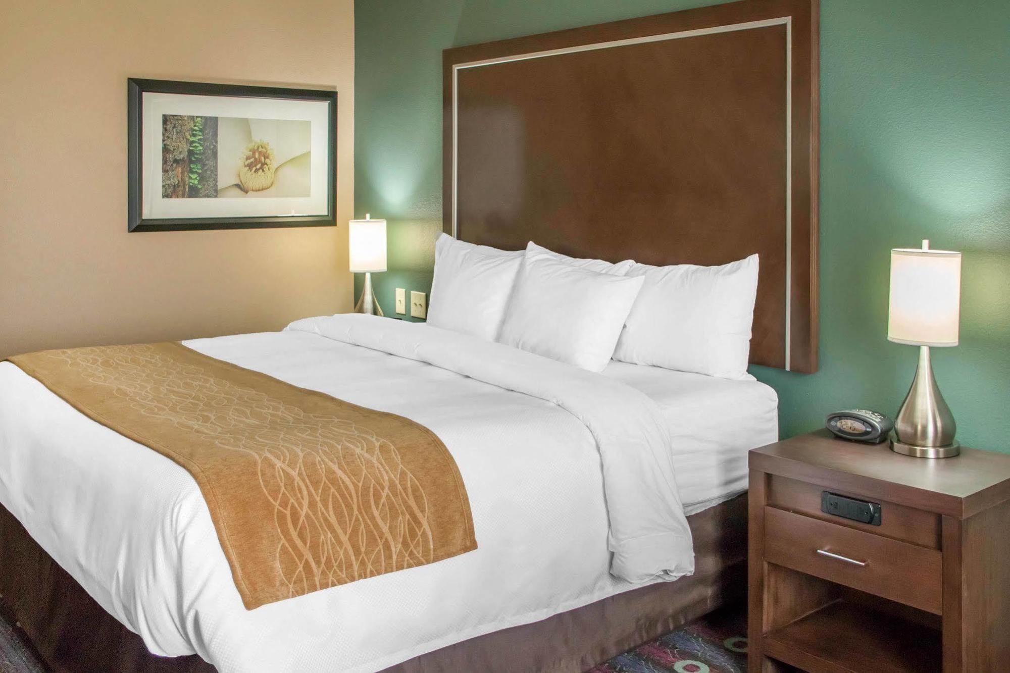 Comfort Inn & Suites San Marcos Luaran gambar